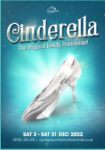 ILEAP Christmas Panto: Cinderella: The Magical Pantomime for ILEAP Friends old and new!